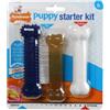 Nylabone Puppy Starterkit ossa da masticare in nylon per cuccioli (gusto pollo) Per confezione