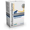 Enteromicro Complex compresse supplemento per cani e gatti 1 confezione