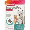 Beaphar IntestoPro compresse per cani e gatti 2 x 20 compresse