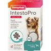 Beaphar IntestoPro compresse per cani (oltre 20 kg) 2 x 20 compresse