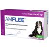 Amflee spot-on 402 mg antiparassitario per cani XL (oltre 40 kg) 2 x 3 pipette