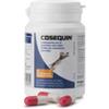 Cosequin supplemento per gatti 45 capsules