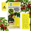 Albagarden - Trappola Cromotropica Gialla Per Mosca della Frutta - Adesiva A Doppia Forza - Pannelli Cattura Insetti, Trappole Anti Insetti X 5 Pz