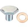 A ABSOPRO Tappo Coppa Olio Motore M10x1.25 Con Rondella per Ford 1 Pz | Argento, Acciaio Inox, M10x1.25, 17x24mm, 1146063, Per Fiat Scudo 99-20, Per Peugeot 307 02-09, Per Ford C-Max 07-20