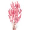 Diyxisk Erba Della Pampas,50 Pezzi Reed Grass,Fiori Secchi Decorativi,Piante Secche,Adatto per Vaso da Tavola per Matrimoni Accessori per Decorazioni per la Casa Soggiorno（Rosa）