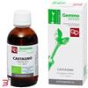 FITOMEDICAL SRL CASTAGNO MACERATO GLICERICO 50 ML BIO