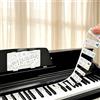 Tarqite Etichette musicali rimovibili per tastiera di pianoforte, supporti per note musicali 88 tasti, guida al pianoforte per principianti bambini, silicone pianoforte con confezione (colorati)