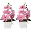 XIZHI Confezione da 2 orchidee artificiali con vaso, 25,4 cm, bonsai, fiori di seta, orchidea farfalla, con vaso, per matrimoni, ufficio, casa, centrotavola interni (rosa)