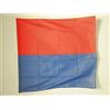 AZ FLAG Bandiera Cantone di Ticino 90x90 cm Poliestere 100D Asola