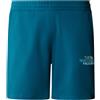 THE NORTH FACE BERMUDA GRAPHIC