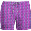 ZEYBRA BOXER MARE FANTASIA DAMA