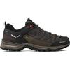 SALEWA MOUNTAIN TRAINER LITE GTX