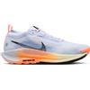 NIKE PEGASUS TRAIL 5 GTX