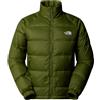 THE NORTH FACE PIUMINO HYDRENALITE