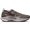 NIKE PEGASUS TRAIL 5 GTX