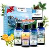 Infusione per Sauna BIO Da Oli Essenziali 100% Naturali Puri 4 X 100 Ml Diversi