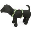 PET AROUND YOU Pettorina Reflective Nylon Verde S