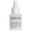 T TEX Srl Andreia Lab smalto express dry (10,5ml)