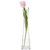 QUUPY Vaso per fiori, 20 cm, in vetro, decorazione per casa, matrimoni e Natale