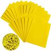 TNSOYCA 20 Trappole Appiccicose Gialle Bilaterali, Plant Flycatcher, Trappole Appiccicose, per Insetti Volanti, Tripidi, Mosche Bianche, Frutta Afidi, Parassiti (15cm x 20cm)