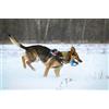 Julius-K9 18430-3 Manicotto con Cuciture Esterne