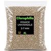 Clorophilla Pomice Universale 3-7 mm - Inerte Naturale per Piante - Substrato Drenante e Aerante - Uso per Vasi, Rinvasi e Coltivazione (6 Litri)