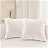 PETTI Artigiani Italiani - Cuscini Arredo in Velluto, Cuscino per Camera da Letto, Divano Salotto, Federa Cuscino, Bianco Latte 2 Pezzi - 30x30 cm