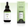 Nuova Astrum GINKO BILOBA ASTRUM RUGIADA 50 ML