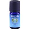 AYUS GMBH INCENSO INDIANO OLIO ESSENZIALE 10 ML