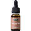 Solimè HORNBEAM 10 ML
