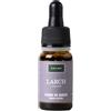 Solimè LARCH 10 ML