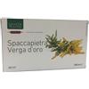 Natura Service LIGNE DE PLANTES SPACCAPIETRA VERGA D'ORO 20 AMPOLLE DA 15 ML