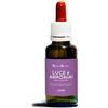 Natur LUCE E ARMONIA SPIRITUALITA' NATUR MIX 30 ML