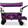 FUXLIFE Strand-Bollerwagen FX-CTB800