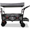FUXLIFE Strand-Bollerwagen FX-CTB800