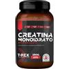 T-Rex Integratori Creatina Monoidrato Micronizzata polvere 250 g 250 g