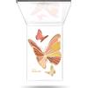 Pupa Butterfly 002 Butterfly