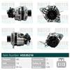 HOFFER Alternatore MITSUBISHI 2,5 A002TN1798 A2TN1798 A2TN1798A A2TN1798AT