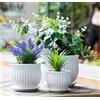 Nattol Set di 3 vasi da fiori in ceramica con sottovaso, moderni vasi rotondi in ceramica per piante grasse con texture a strisce bianche, di piccole e medie dimensioni,