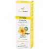 FARMADERBE Srl Arnica Pomata con Fitocomplesso di Arnica 79%, 100 ml