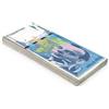 Scratch Lover Scratch Cash Franchi 100 x ₣ 50 Franchi Soldi per Giocare (Dimensioni Reali)