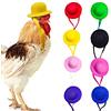 Rolin Roly 8PCS Cappelli di Pollo per Gallina Mini Cappello da Bambola Animali Domestici Casco con Cinturino Elastico Regolabile Accessori Per Fai Da Te Uccelli Lucertole (8Pcs Hats)