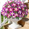 ASTNIC 4 Pezzi Fiori Finti da Esterno, Fiori Artificiali Piante Finte da Esterno, Petunia Pianta Finta Fiori di Seta Resistente ai Raggi UV, Fiori Finti da Interno Decorazioni da Balcone Matrimoni