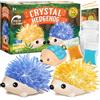 Dr. Daz Set Coltivazione Cristalli Riccio, Confezione da 2 Kit Crescita Cristalli Riccio, Scatola Esperimenti per Bambini dagli 8 Anni, Kit per Piccoli Scienziati, Regalo per Ragazzi e Ragazze