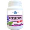 BODYLINE Srl FORSKOLIN FORTE 60CPS
