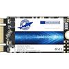 THREE COLOUR DOGFISH Dogfish SSD M.2 2242 500GB unit?a Stato Solido Interne Drive a Stato Solido Interno da Integrata Laptop Hard Drive M2 (M.2 2242 500GB)