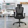 Durrafy Sedia da ufficio Durrafy, sedia da scrivania per computer, sedia da lavoro ergonomica con supporto lombare, sedia girevole regolabile, nera