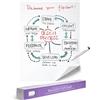 EASYCLING Magique Flipchart Foil, pellicola elettrostatica per tutte le superfici dure, aderisce senza adesivi o magneti, 25 fogli e 1 pennarello incluso, 60 cm x 80 cm (Gridded)