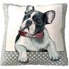 IL MAGGIOLINO | Fodera 40x40 Gobelin con Stampa Cane Bulldog Willy, Tessuto Doppio, Cerniera Nascosta, Made in Italy
