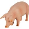 MOJO Figura giocattolo modello animale della fattoria maiale (cinghiale)